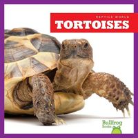 Produktbild: Tortoises