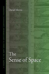 Produktbild: The Sense of Space