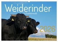 Produktbild: Weiderinder im Frankenwald (Wandkalender 2026 DIN A2 quer), CALVENDO Monatskalender