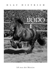 Produktbild: BODO