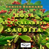 Produktbild: Rosa e la Calabria "Saudita"