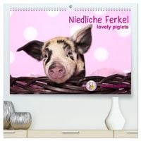 Produktbild: Niedliche Ferkel lovely piglets (hochwertiger Premium Wandkalender 2027 DIN A2 quer), Kunstdruck in Hochglanz