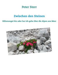 Produktbild: Zwischen den Steinen