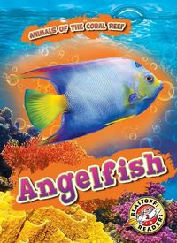 Produktbild: Angelfish