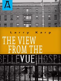 Produktbild: The View from the Vue
