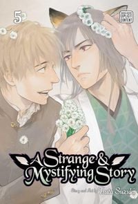 Produktbild: A Strange & Mystifying Story, Vol. 5
