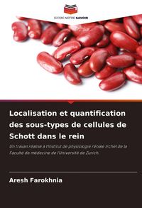 Produktbild: Localisation et quantification des sous-types de cellules de Schott dans le rein