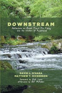 Produktbild: Downstream