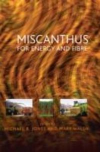 Produktbild: Miscanthus