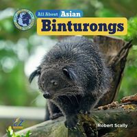 Produktbild: All about Asian Binturongs