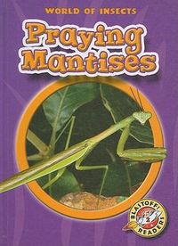 Produktbild: Praying Mantises