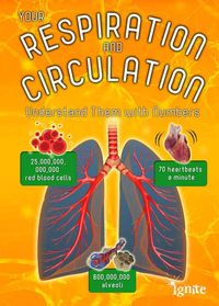 Produktbild: Your Respiration and Circulation