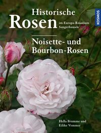 Produktbild: Historische Rosen im Europa Rosarium Sangerhausen: Noisette- und Bourbon-Rosen