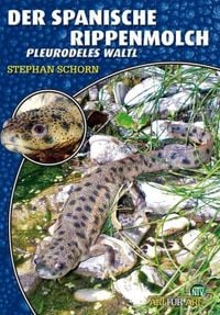 Produktbild: Der Spanische Rippenmolch