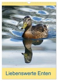 Produktbild: Liebenswerte Enten (Wandkalender 2026 DIN A3 hoch), CALVENDO Monatskalender