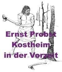 Produktbild: Kostheim in der Vorzeit