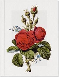 Produktbild: Geschichte der Rose Gro&szlig;es Notizheft Motiv Moosrose