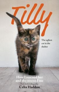Produktbild: Tilly: The Ugliest Cat