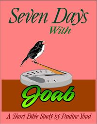 Produktbild: Seven Days with Joab