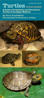 Produktbild: Turtles in Your Pocket