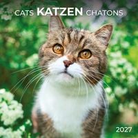 Produktbild: Katzen / Cats 2027
