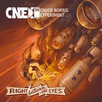 Bild vom Artikel Chuck Norris Experiment: Right Between The Eyes vom Autor The Chuck Norris Experiment