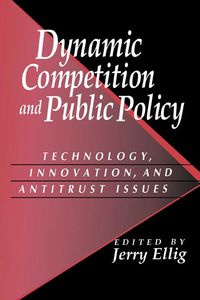 Produktbild: Dynamic Competition and Public Policy