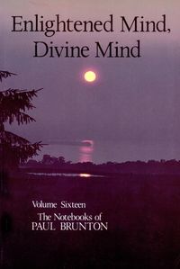 Produktbild: Enlightened Mind, Divine Mind