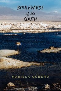 Produktbild: Boulevards of the South