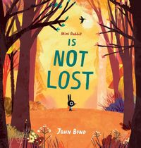 Produktbild: Mini Rabbit Is Not Lost