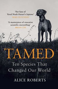 Produktbild: Tamed