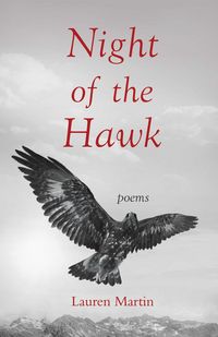 Produktbild: Night of the Hawk