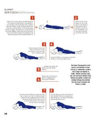 Anatomie des Yoga: Der vollständig illustrierte Ratgeber für