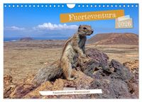 Produktbild: Fuerteventura - Faszination einer W&uuml;steninsel (Wandkalender 2026 DIN A4 quer), CALVENDO Monatskalender