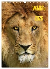 Produktbild: Wildlife 2026 (Wandkalender 2026 DIN A3 hoch), CALVENDO Monatskalender