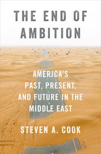 Produktbild: The End of Ambition