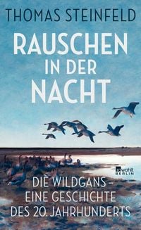 Produktbild: Rauschen in der Nacht