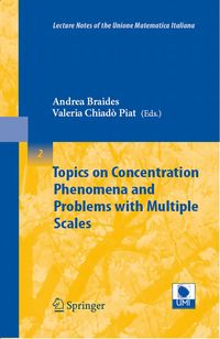 Produktbild: Topics on Concentration Phenomena and Problems with Multiple Scales