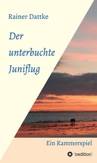 Produktbild: Der unterbuchte Juniflug