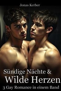 Produktbild: S&uuml;ndige N&auml;chte & Wilde Herzen: 3 Gay Romance in einem Band