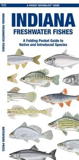 Produktbild: Indiana Freshwater Fishes