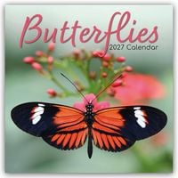 Produktbild: Butterflies &ndash; Schmetterlinge 2027 &ndash; 16-Monatskalender