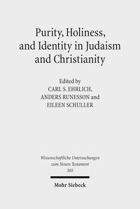 Produktbild: Purity, Holiness, and Identity in Judaism and Christianity