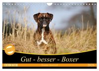 Produktbild: Gut - besser - Boxer (Wandkalender 2026 DIN A4 quer), CALVENDO Monatskalender