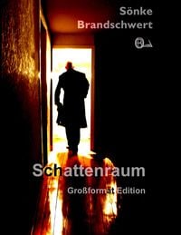 Bild vom Artikel Schattenraum vom Autor Sönke Brandschwert