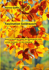 Produktbild: Faszination Goldrausch