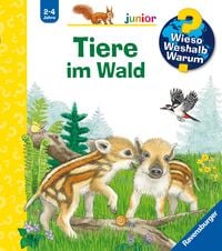 Produktbild: Wieso? Weshalb? Warum? junior, Band 77 - Tiere im Wald