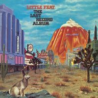 Produktbild: The Last Record Album