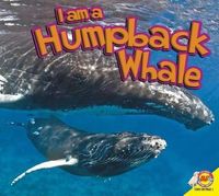 Produktbild: Humpback Whale