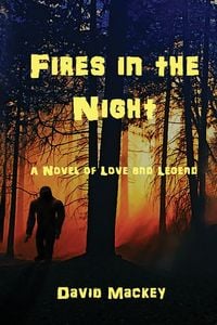 Produktbild: Fires in the Night